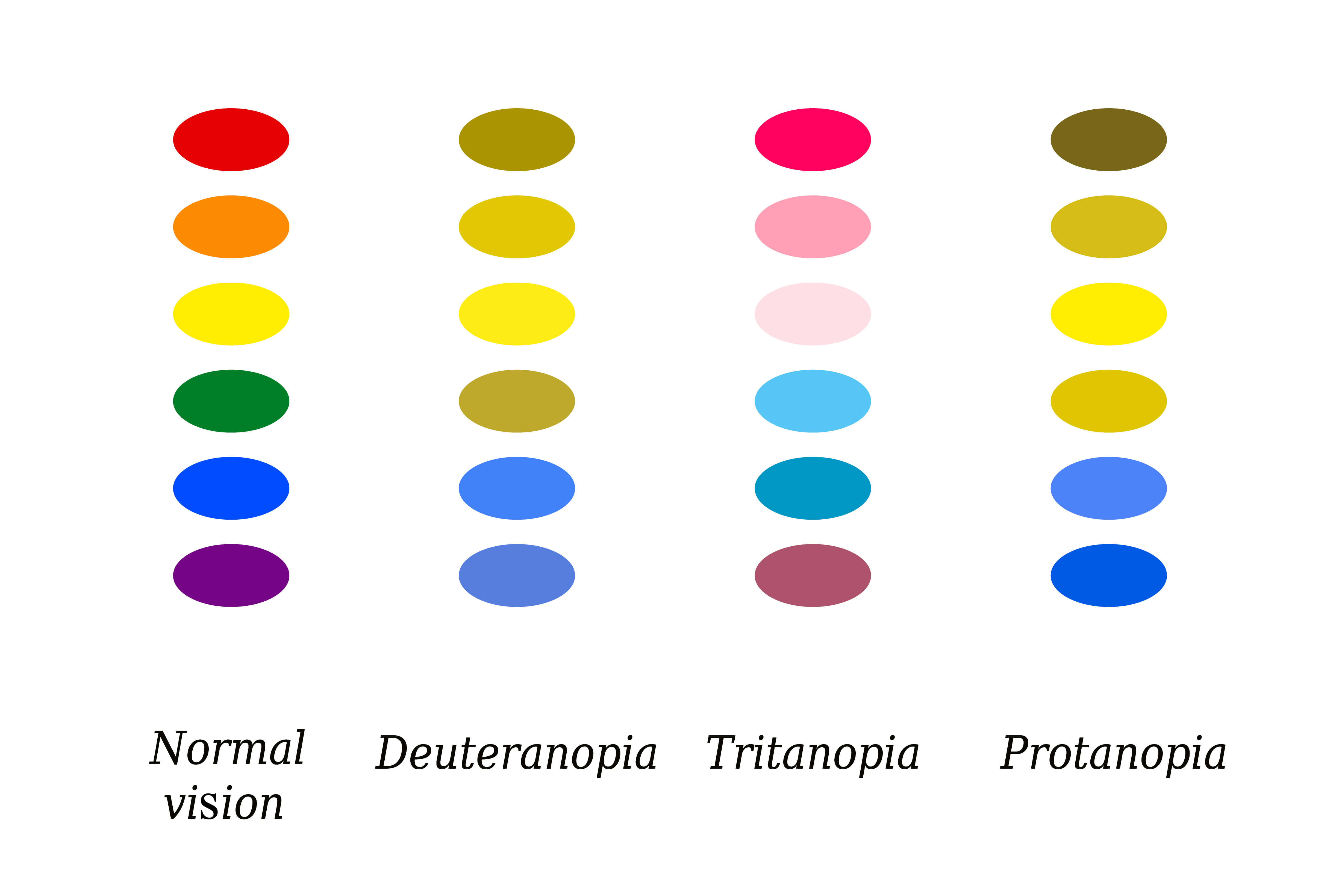 Line up of colour swatches that represents the different scales of colour blindness